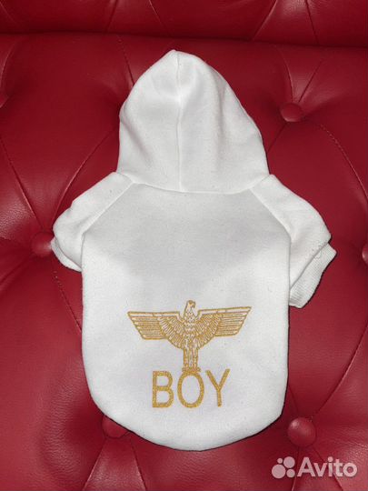 Одежда для маленьких собак