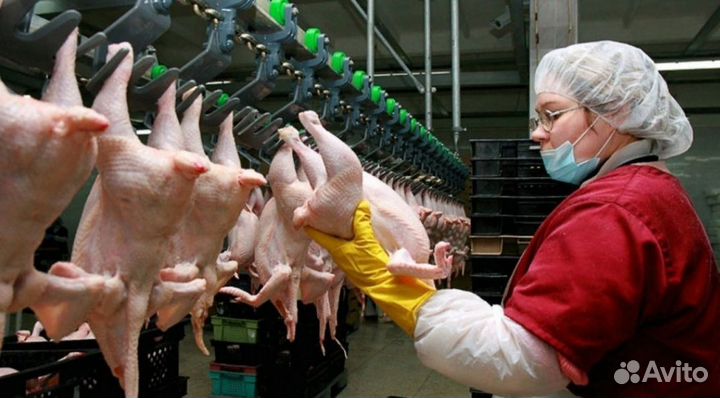 Рабочий без опыта работы