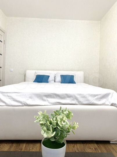 2-к. квартира, 50 м², 1/4 эт.