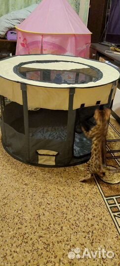 Манеж для питомцев