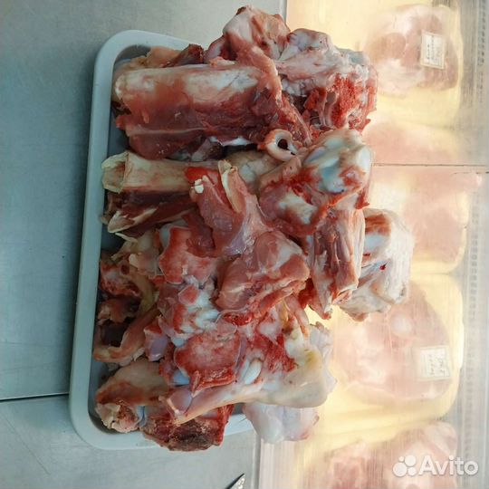 Костя для собак