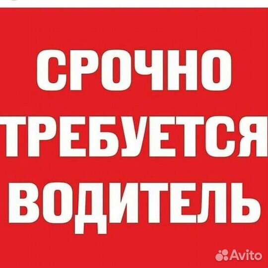 Водитель экспедитор категория в