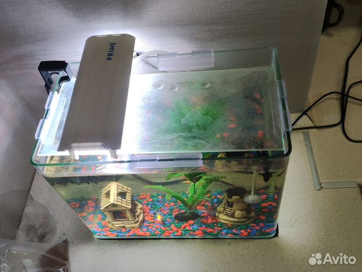 Аквариум
