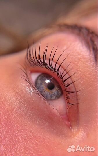 Ламинирование ресниц и оформление бровей