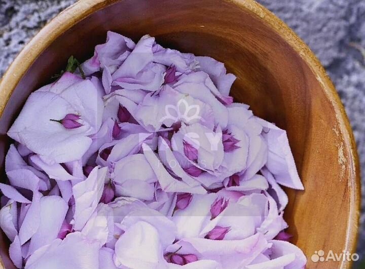 Лепестки роз