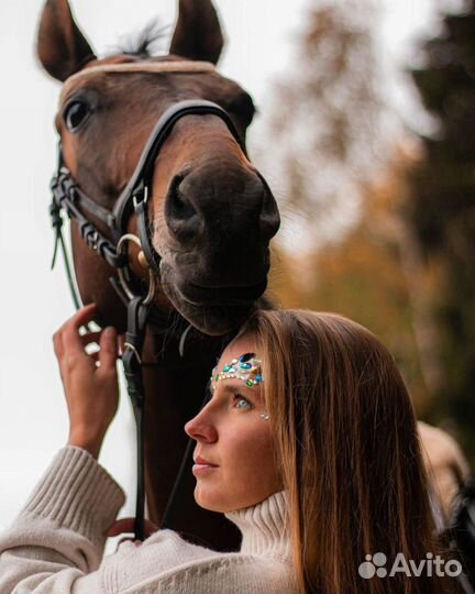 Фотосъёмка животных мероприятия