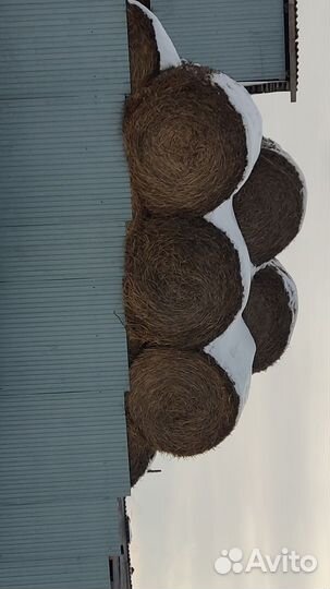 Сено и салома