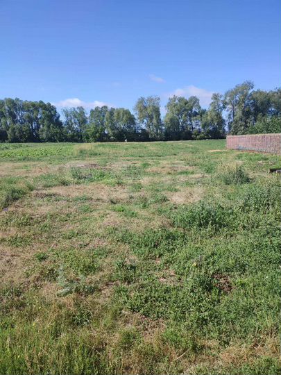 Участок 28 сот. (ИЖС)