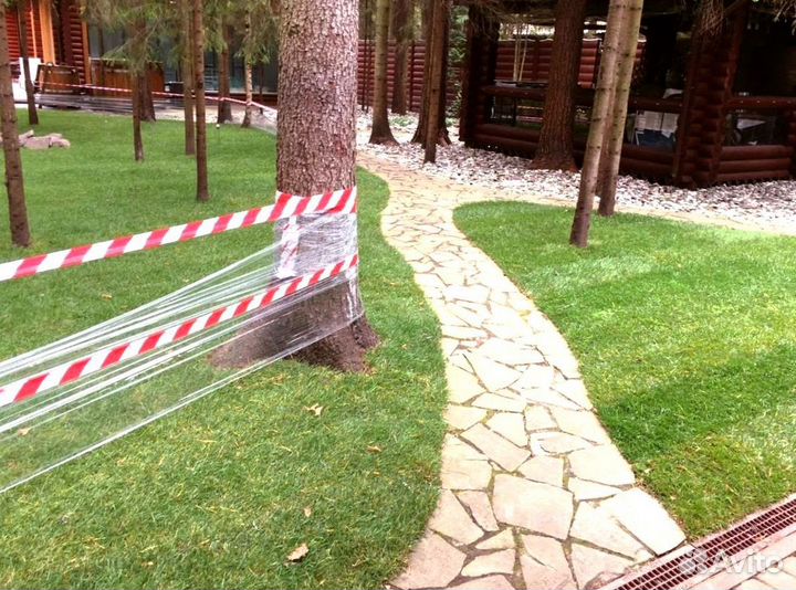 Рулонный газон