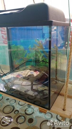 Аквариум