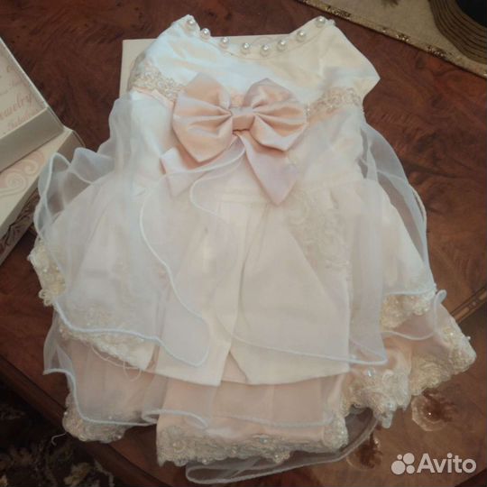 Одежда для собаки