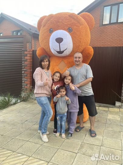 Плюшевый мишка- сюрприз