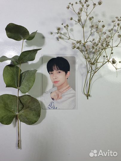 Карты enhypen сонхун