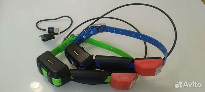 Ошейники Garmin tt15 mini Россия/Евро/Америка