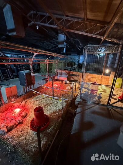 Кормишка для птиц