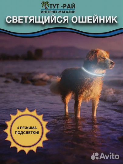 Ошейник светящийся для собак