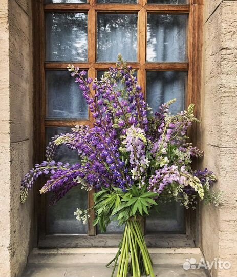 Букет цветов люпины