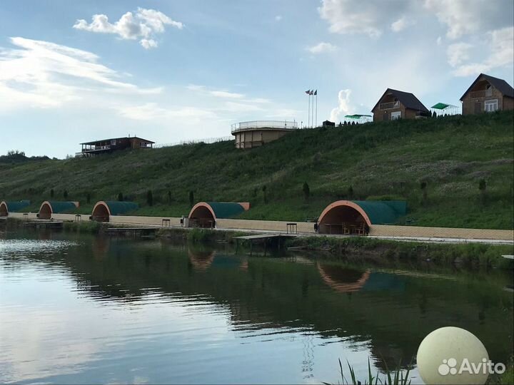 Платная рыбалка (карп)