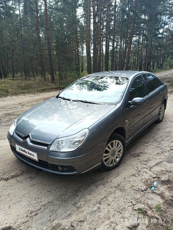 Citroen C5: фото владельца