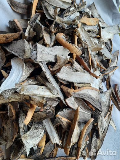 Грибы сушеные