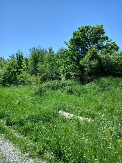 Участок 9,6 сот. (СНТ, ДНП)