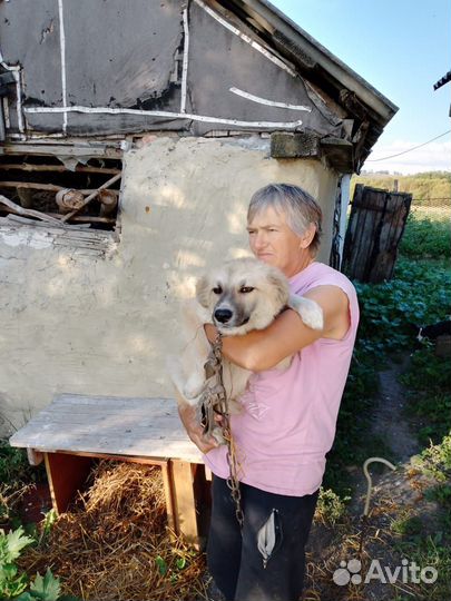 Замечательный ребенок