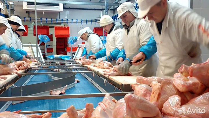 Работа вахтой на птицефабрике Пермь