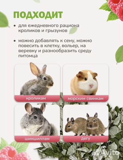 Игрушки для грызунов Веник малины