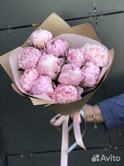 Пионы голландские опт