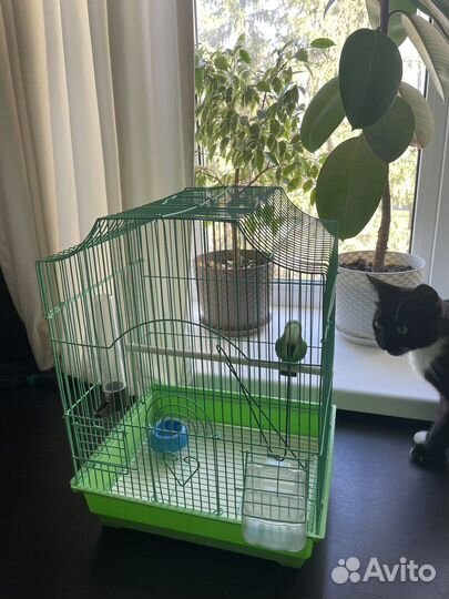 Клетка для попугая