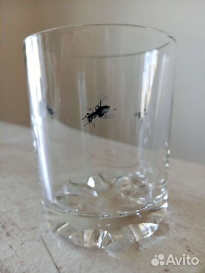 Стакан с мухами