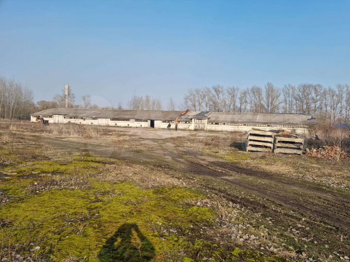 Склад, 1500 м²