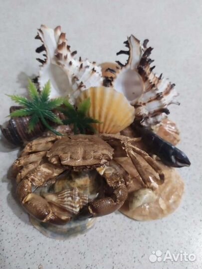 Композиция крабик, камни для террариума