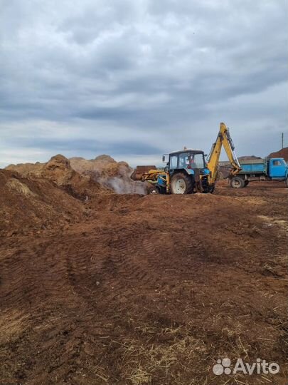 Конский навоз