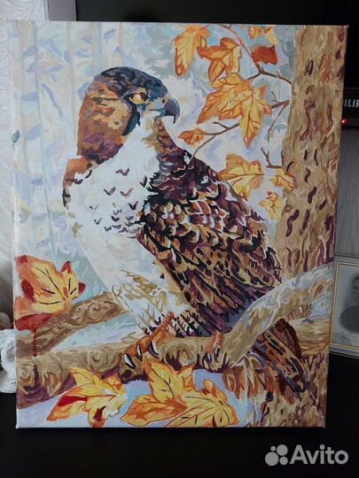 Картины по номерам 40/50.раскрашены