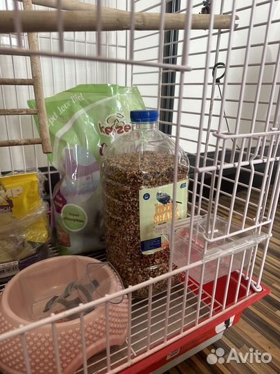 Клетка для среднего попугая