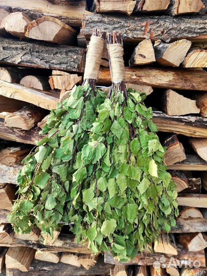 Березовые веники