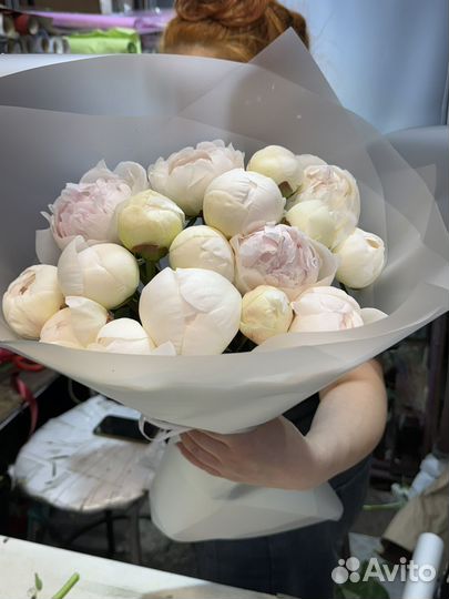 Пионы букет 15/21/25/51/101