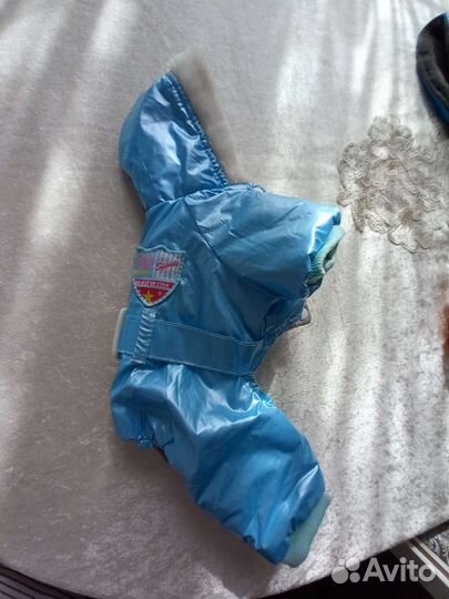 Комбинезон и куртка для собак