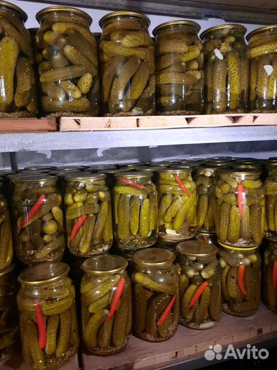 Соленья домашние