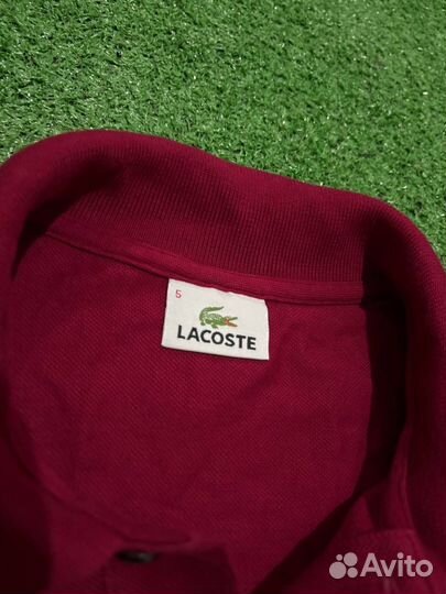 Регбийка Lacoste