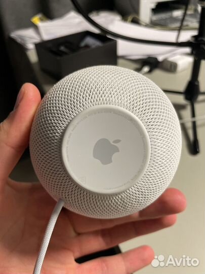Apple homepod mini