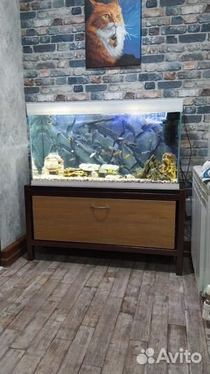 Аквариумы доставка пэк