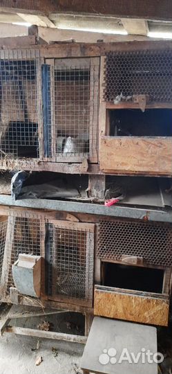 Клетки для кроликов Б/У