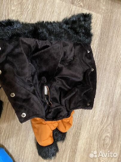 Костюм для собаки