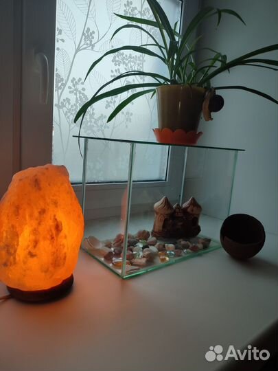 Аквариум на 20 литров