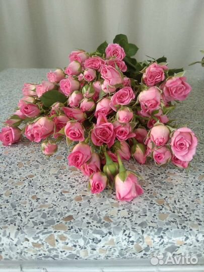 Розы Хризантемы