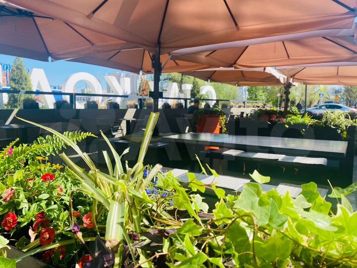 Ищем кухни мира, 15 м²