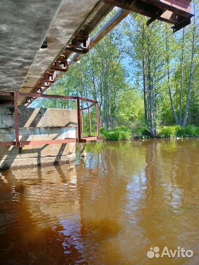 Прогулки на сапах /SUP досках по реке Сестре