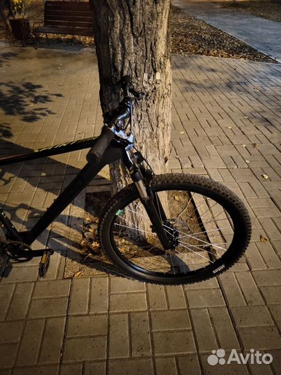 Forward sporting 27.5